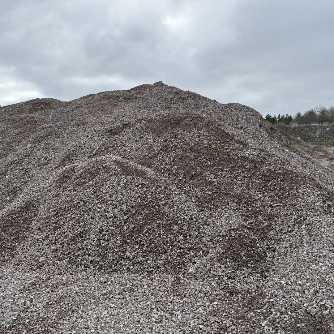 Bergkross - Bild 9